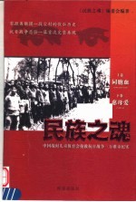 民族之魂：中国战时儿童保育会抢救抗日战争三万难童纪实