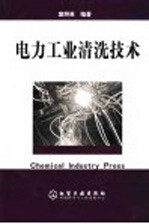 <em>电力</em>工业清洗<em>技术</em>