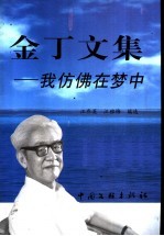 金丁文集  我仿佛在梦中