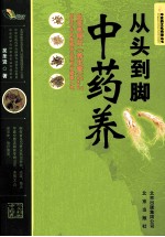 中医药<em>文化</em>传播丛书  从头到脚中药养