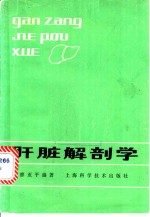 肝脏解剖学