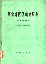 西北地区区域地层表