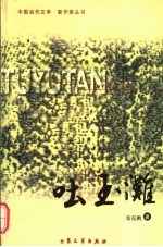 吐玉滩  第2版