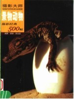 摄影<em>大师</em>摄影经典500幅  景物动物  下