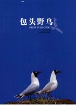 包头野鸟