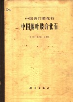 中国的叶肢介化石