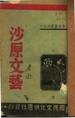 沙原<em>文艺</em>