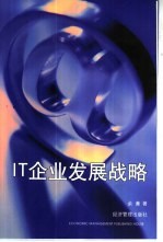 <em>IT</em>企业发展战略