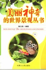 美丽神奇的世界景观丛书  73
