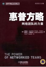 惠普方略：网络团队<em>的</em>力量