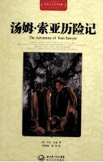 世界文学名著典藏  汤姆·索亚历险记  全译插图本