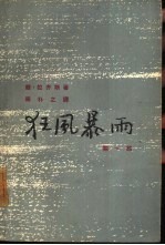 狂风暴雨  第1部