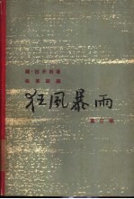 狂风暴雨  第3部