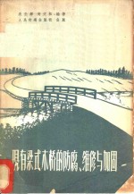 现有梁式木桥的防腐、维修与加固