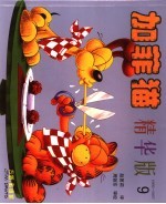 加菲猫精华版  9