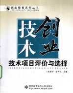 技术创业  技术项目评价与选择