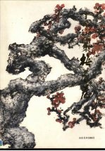 <em>于</em>希宁画集：梅花卷
