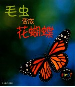 成长记  毛虫变成花蝴蝶