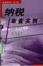 纳税<em>审查</em>实例
