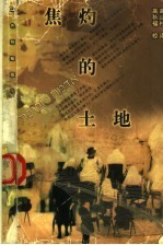 焦灼的土地  以色列短篇小说选