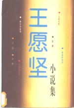 <em>王<em>愿坚</em></em>小说集
