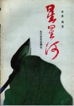 星星河  青年诗选