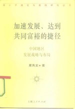加速发展、达到共同富裕的捷径  中国地区发展战略与布局
