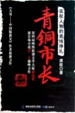 青铜市长  实权人物的<em>底线</em>挣扎