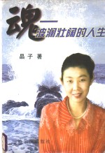 魂  波澜壮阔的人生
