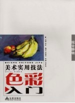 色彩入门  组合静物