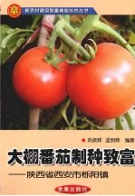 <em>大棚</em>番茄制种致富  陕西省西安市栎阳镇