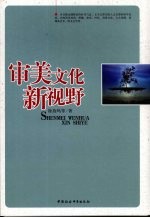 审美文化新视野