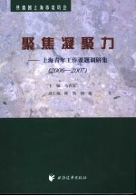 聚焦凝聚力  上海青年工作课题调研集  2006-2007