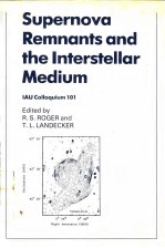 <em>S</em>upernova Remnant<em>s</em> and the Inter<em>s</em>te<em>l</em><em>l</em>ar Medium
