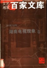 文艺湘军百家文库  影视方阵  湖南电视现象卷