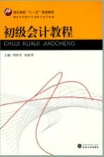 初级会计<em>教程</em>