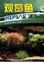 观赏鱼养护入门