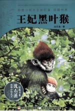 动物小说大王<em>沈</em><em>石溪</em>品藏书系  王妃黑叶猴