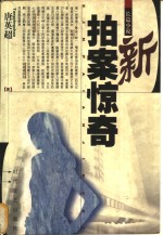 新拍案惊奇  长篇小说
