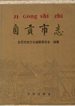 自贡<em>市志</em>  上