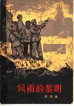风雨的黎明  上