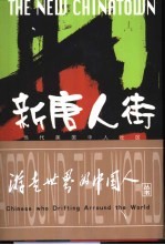 新唐人街  当代美国华人社区