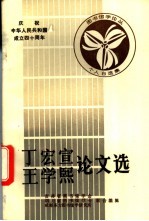 丁宏宣  王学熙论文选