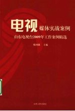 电视媒体实战案例  山东电视台2009年工作案例精选