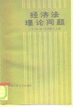 经济法理论问题