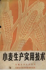 小麦<em>生产</em><em><em>实用</em><em>技术</em></em>