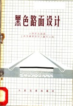 黑色路面设计