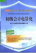 初级<em>会计</em>电算化