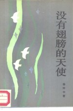 没有翅膀的天使