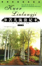 苦儿流浪记  青少版